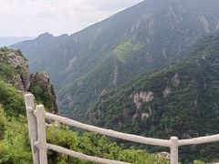 -牛背梁国家森林公园