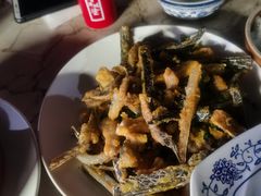 -鲤鱼塘农家山庄