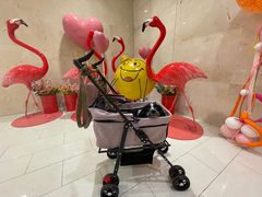 -新百广场(中山西路店)