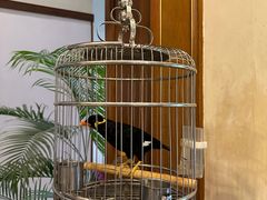 -杭州香格里拉·香宫中餐厅