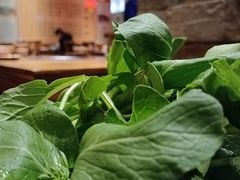 -快活林酸汤鱼鲜品火锅店(甲秀楼店)