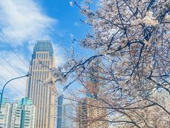 -西北湖绿化广场