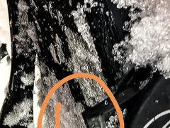 -哈尔滨热雪奇迹
