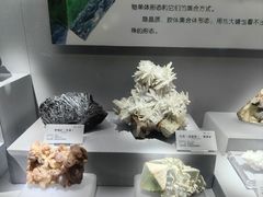 -湖南省地质博物馆