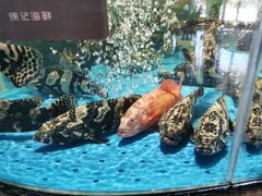 -徐记海鲜(梅溪新天地店)