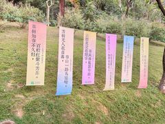 -云溪植物园