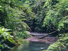 -西岭雪山大飞水景区