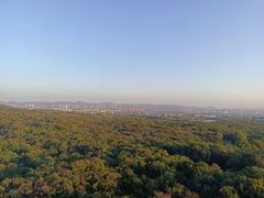 -灵谷景区