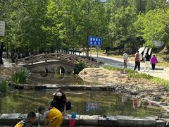 -白水寺森林公园