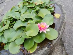 -玲珑餐厅(陕西南路店)