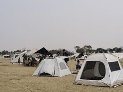 -春花秋色城市公园