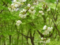 -白塘生态植物园