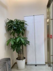 -禾美嘉医疗美容