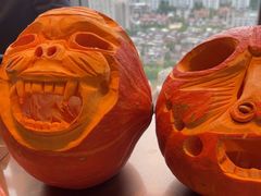 -嘉定凯悦·咖啡厅