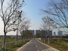 -光明小镇欢乐田园