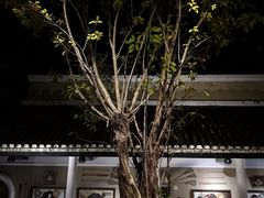 -富国岛翡翠湾 JW 万豪度假酒店