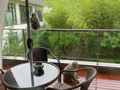 -苏州环秀晓筑养生度假村