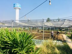 -Ohkajhu Organic Farm Sansai