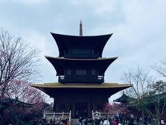 -广富林郊野公园