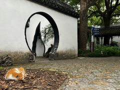 -上海醉白池公园