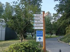 -佛手湖郊野公园