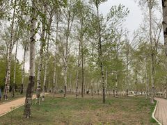 -长春市南湖公园