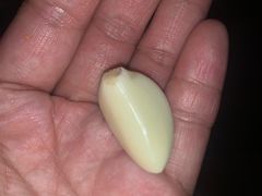 -贝贝龙虾·音乐餐厅(昌平东关店)