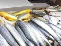 -渡海小渔村.老辈日照菜