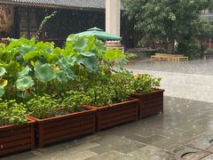-一叶一世界•素食餐厅(环球中心店)