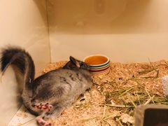 -龙猫仔乐园(惠福东路店)