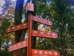 -岳麓山风景名胜区