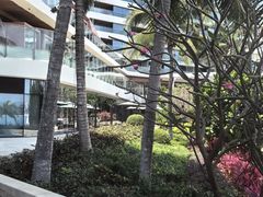 -雾山韩式烤肉·海南糟粕&椰子鸡火锅·海景餐厅(三亚绿发山海天JW万豪酒店)