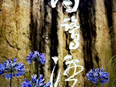 -白鹭湾湿地公园