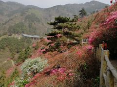 -木兰云雾山