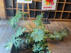 -邈墨茶馆(大兜路1号店)
