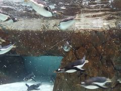 -成都浩海立方海洋公园