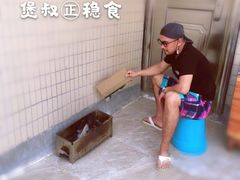 -碧桂园十里银滩