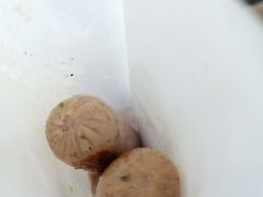-麦当劳(祈年大街店)