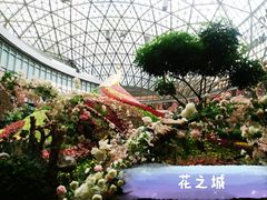 景点-花之城