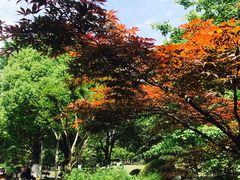 景点-花溪公园