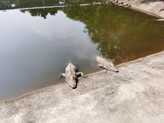 -三水森林公园