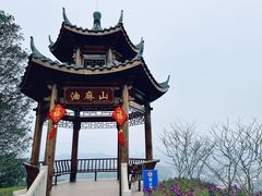 -黄埔油麻山森林公园