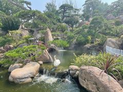 -罗红摄影艺术馆