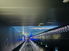 -白鹤梁水下博物馆