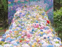 -上海共青森林公园