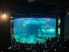 -龙谷湾旅游休闲度假区