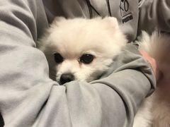 -伽利略剧本探案馆(国贸店)