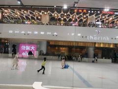 -TheRink大零溜冰场(IFS国金中心店)