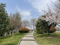 -云龙湖旅游景区