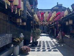 -东台西溪天仙缘景区